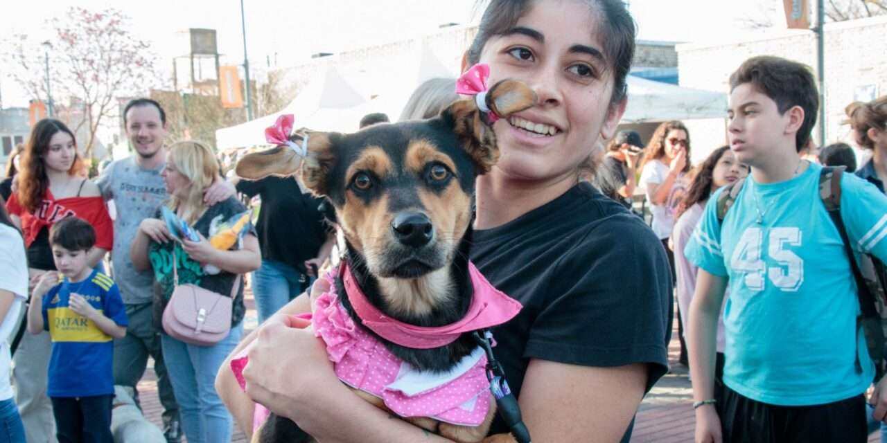 Berazategui celebra el Día del Animal y los 12 años de la Clinica Veterinaria Municipal