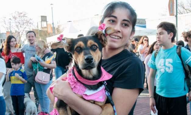 Berazategui celebra el Día del Animal y los 12 años de la Clinica Veterinaria Municipal