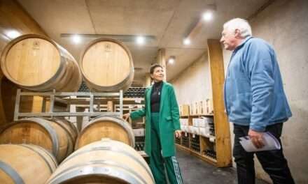 La bodega urbana 'Nietzel Wines', primera en toda la Provincia, ya tiene la habilitación industrial