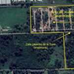 Ambientalistas denuncian "Deforestación Salvaje" en la obra del barrio cerrado Ayres de Hudson