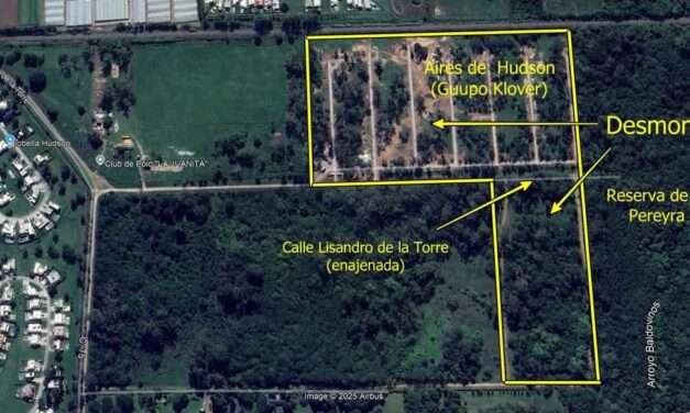 Ambientalistas denuncian "Deforestación Salvaje" en la obra del barrio cerrado Ayres de Hudson