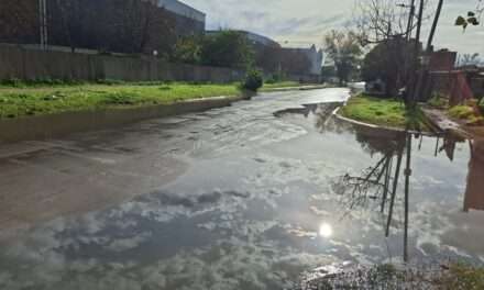 Inundaciones en Bernal Oeste: Vecinos denuncian a desagüe pluvial que proviene del Parque Industrial; tarea para Medio Ambiente