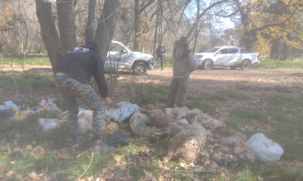 Horror en Parque Pereyra: Matanza de animales y sospechas de ritual