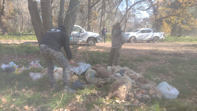 Horror en Parque Pereyra: Matanza de animales y sospechas de ritual