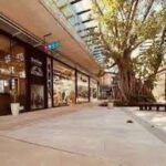 Duro invierno en Nuevo Quilmes Plaza: Locales vacios, escasas ventas y preocupación en aumento