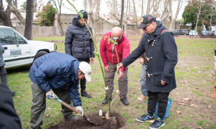 Cervecería Quilmes impulsa la restauración de la biodiversidad en el Parque de la Cervecería
