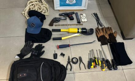 Desbaratan una banda de delincuentes de "entraderas" en Lanús