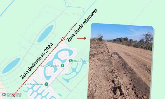 Siguen talando árboles en Puerto Nizuc: Ambientalistas convocan a movilizarse en defensa de los humedales