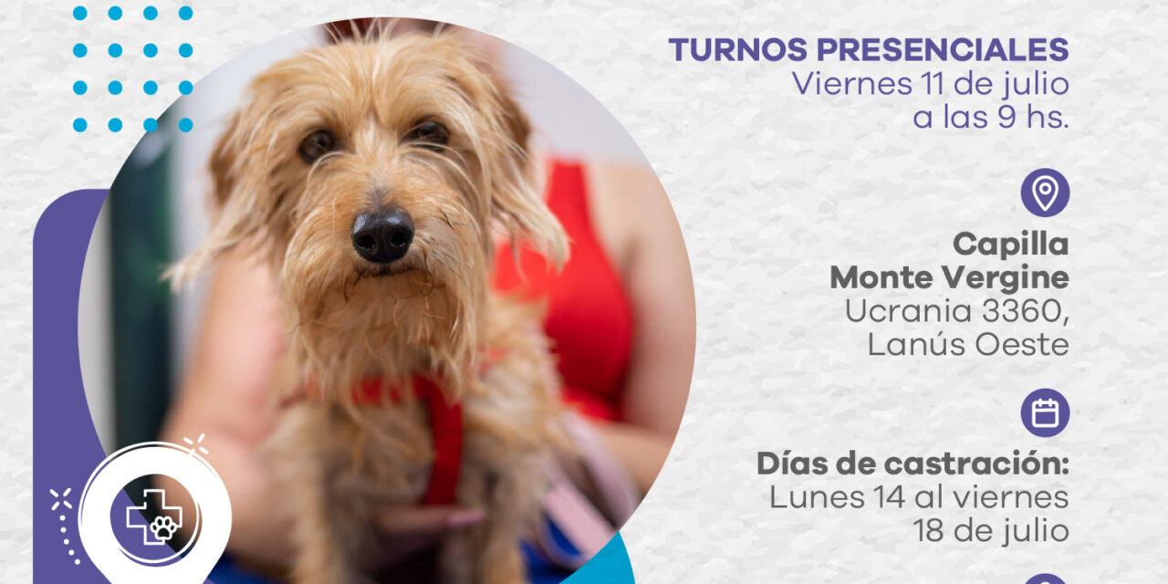 Lanús: Otorgarán nuevos turnos gratuitos para la castración de mascotas 