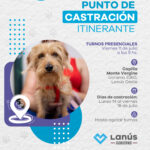Lanús: Otorgarán nuevos turnos gratuitos para la castración de mascotas 