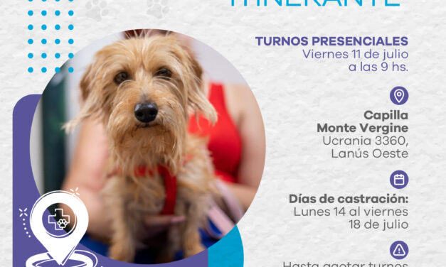 Lanús: Otorgarán nuevos turnos gratuitos para la castración de mascotas 