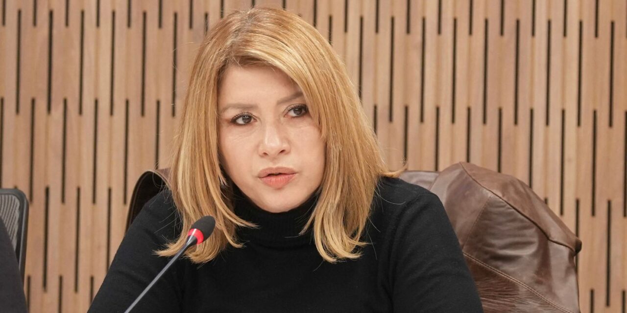 Diputada Mónica Litza: "La educación pública no es un gasto, es una inversión"