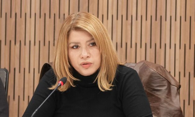 Diputada Mónica Litza: "La educación pública no es un gasto, es una inversión"