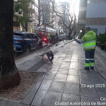 Operativos especiales en CABA ante sospechas de envenenamiento de mascotas en Palermo