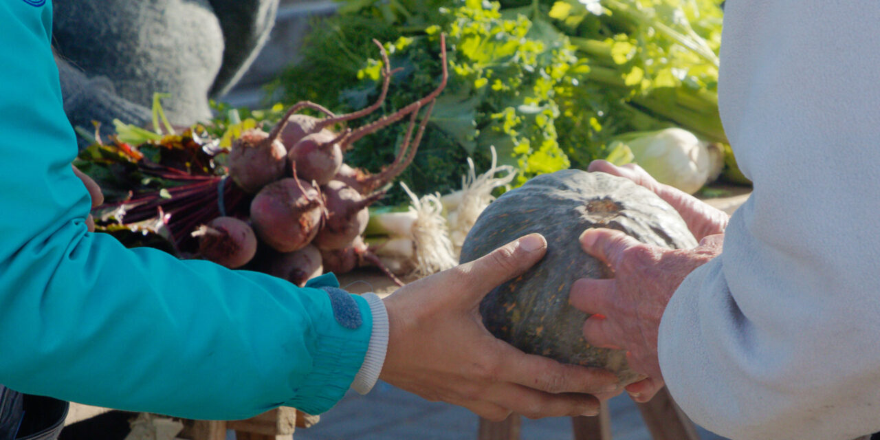 Frutas y verduras agroecológicas en Berazategui