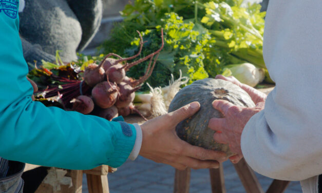 Frutas y verduras agroecológicas en Berazategui