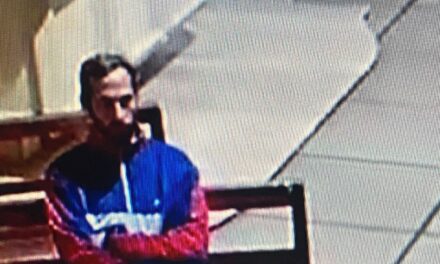 Alerta por robos en la Catedral de Quilmes que quedaron registrados en video