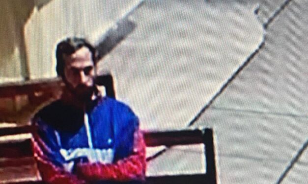 Alerta por robos en la Catedral de Quilmes que quedaron registrados en video