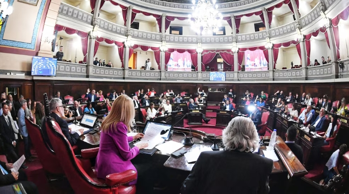 Impulsado por Tignanelli, el Senado Bonaerense prohibió que se corten los servicios públicos en hospitales, escuelas y clubes