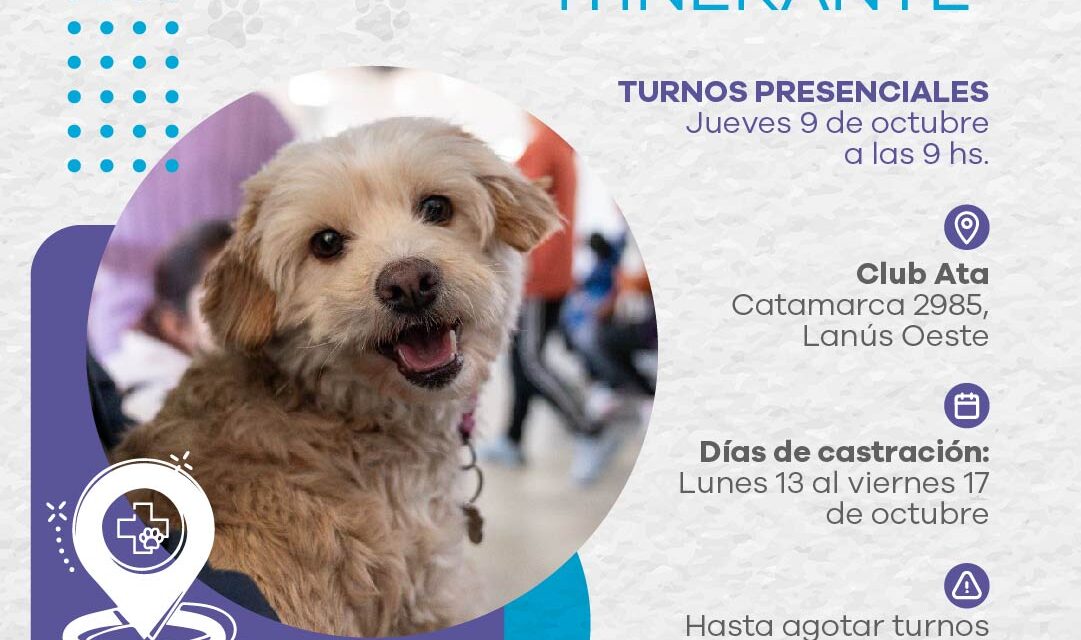 Lanús Gobierno dará nuevos turnos de Castración Itinerante en Lanús Oeste