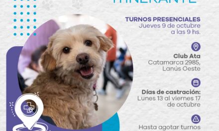 Lanús Gobierno dará nuevos turnos de Castración Itinerante en Lanús Oeste