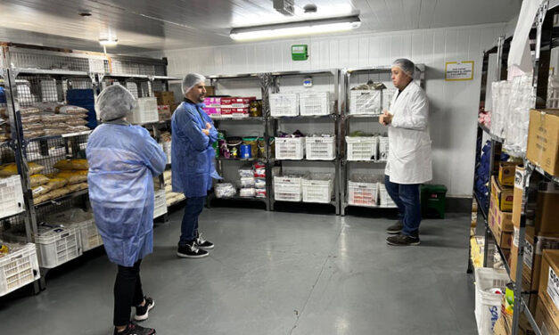 Innovación para darle una segunda vida a los alimentos y evitar el descarte