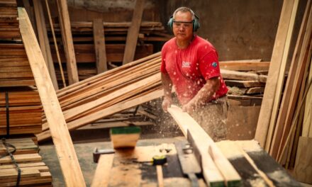 Avellaneda impulsa el desarrollo local junto a Provincia Microcréditos