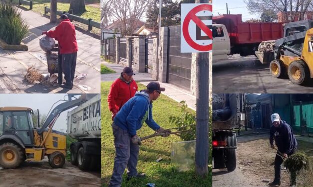 Operativos de limpieza en distintos barrios de Berazategui