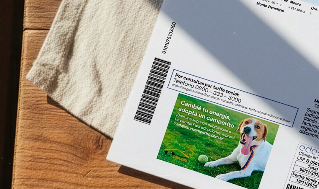 Encontraron a su perro gracias a la factura de EDESUR