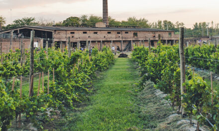ENOTURISMO: calendario de eventos Vinos Buenos Aires