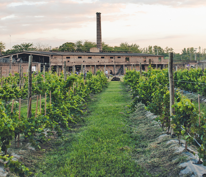 ENOTURISMO: calendario de eventos Vinos Buenos Aires