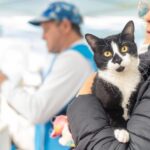 Lanús Gobierno lleva el Quirófano Móvil a Remedios de Escalada: castraciones y vacunas gratuitas