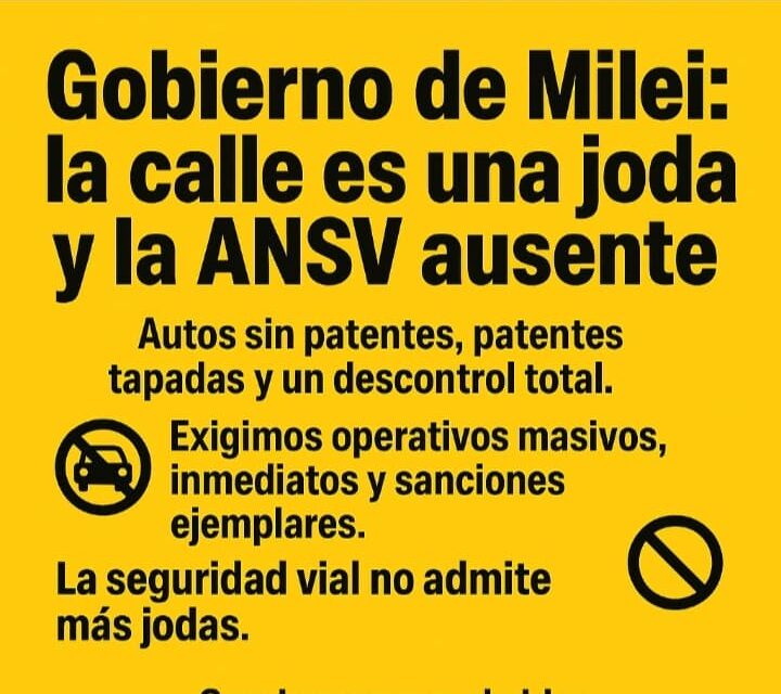Defensor del Pueblo de Avellaneda: "En el gobierno de Milei la calle es una joda; la ANSV está ausente"