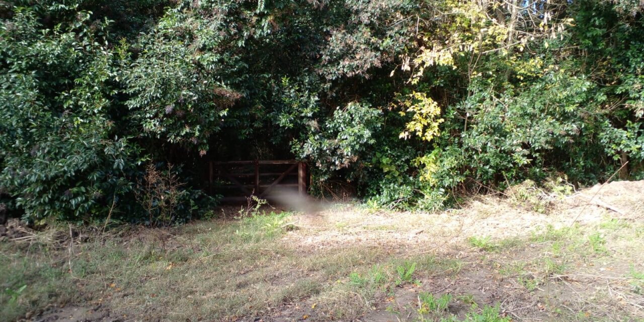 La Justicia prohibe el desmonte de los barrios Puerto Nizuc y Elcano