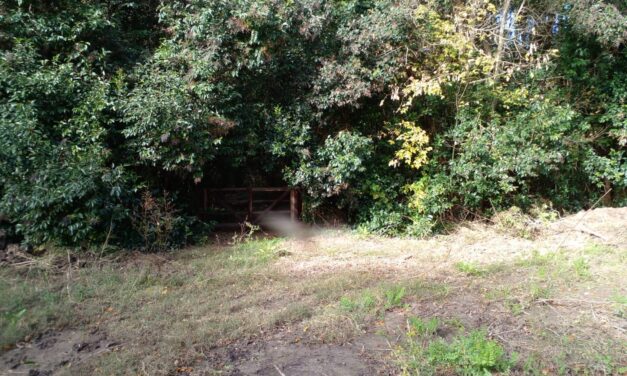 La Justicia prohibe el desmonte de los barrios Puerto Nizuc y Elcano