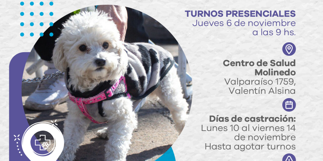 En Lanús realizarán otro punto de castración itinerante en Valentín Alsina