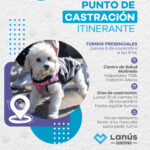 En Lanús realizarán otro punto de castración itinerante en Valentín Alsina