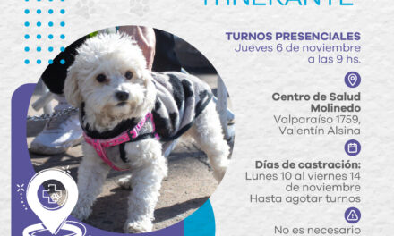En Lanús realizarán otro punto de castración itinerante en Valentín Alsina