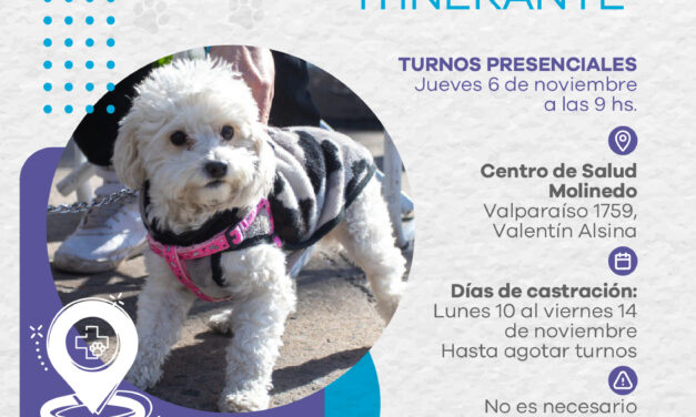 En Lanús realizarán otro punto de castración itinerante en Valentín Alsina