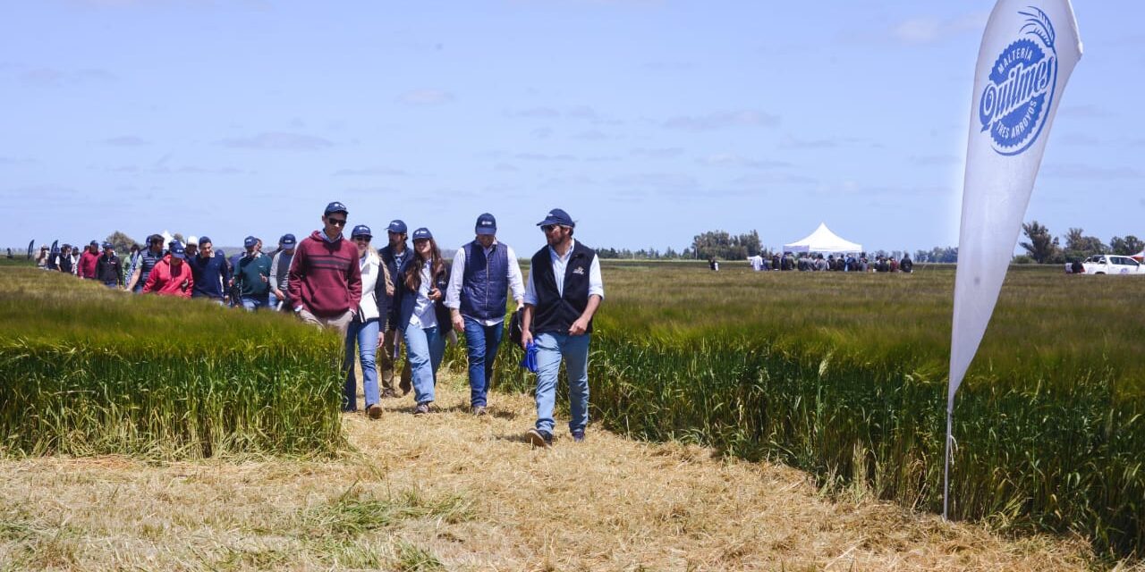 Con una inversión de USD 6 millones, Cervecería y Maltería Quilmes presentó dos nuevas variedades de cebada
