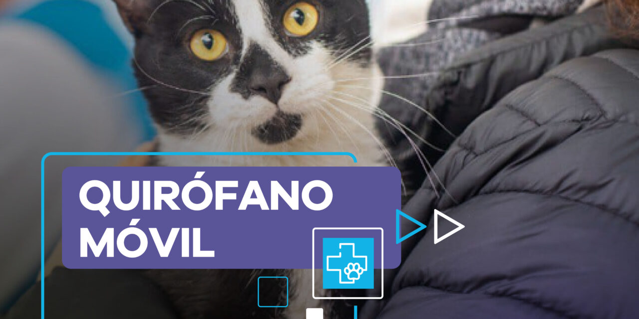 Lanús Gobierno sigue con el quirófano móvil en el Parque Municipal San Martín