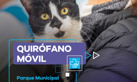 Lanús Gobierno sigue con el quirófano móvil en el Parque Municipal San Martín