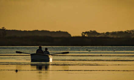 Provincia de Bs As: Escapada de 3 días entre el mar, los viñedos y las tradiciones gauchas