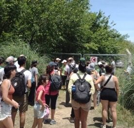 El barrio ilegal 'Puerto Nizuc' le pone candado y reja al bosque ribereño de Hudson