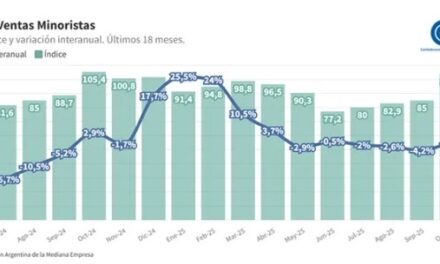 Tremenda caída: Según CAME, las ventas minoristas sufrieron una baja de 9,1% en noviembre