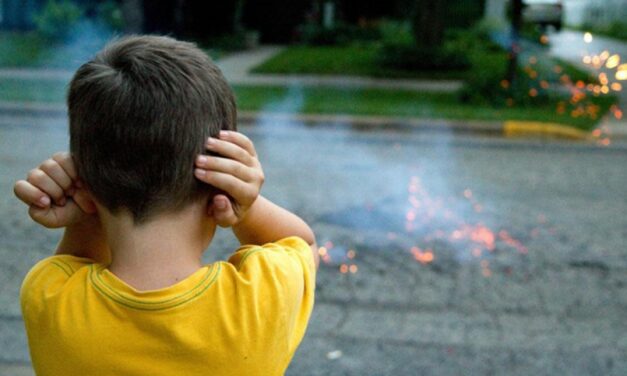 Fiestas sin riesgos: Queda prohibido el uso de pirotecnia en Berazategui