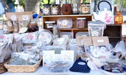 Lanús Gobierno sigue apostando a la Feria de las Artesanías