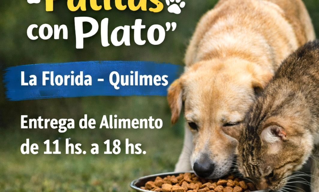 Donación de Refugios para Animales en Plazas Públicas: Objetivo “Patitas Protegidas”