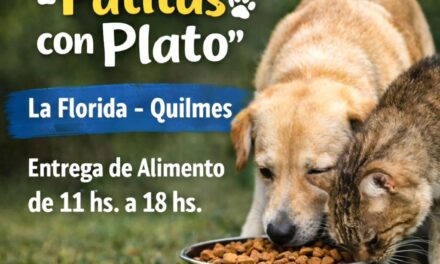 Donación de Refugios para Animales en Plazas Públicas: Objetivo “Patitas Protegidas”