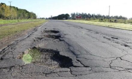 Informe sobre el desmantelamiento, el creciente riesgo y la emergencia vial en la Argentina
